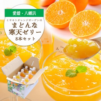 愛媛限定栽培品種 まどんな寒天ゼリーセット8本 ミヤモトオレンジガーデン【C25−25】【1044274】
