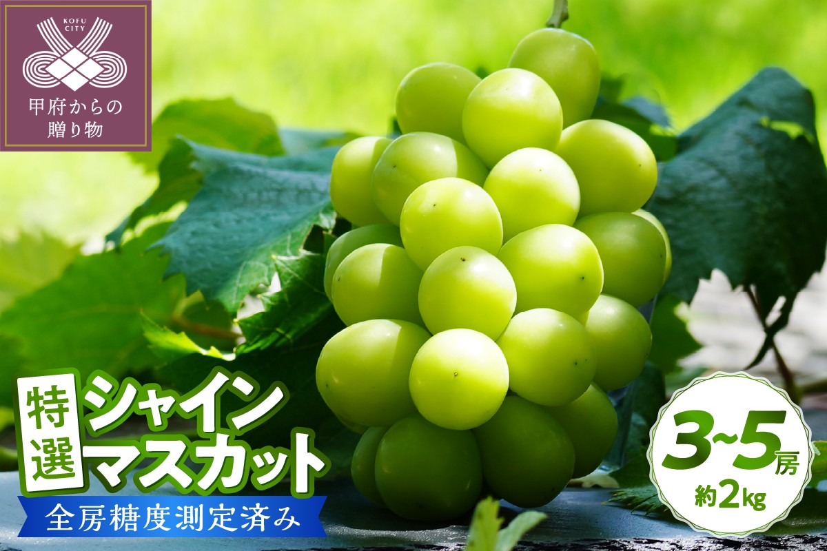 特選 シャインマスカット 約2kg（3～5房）