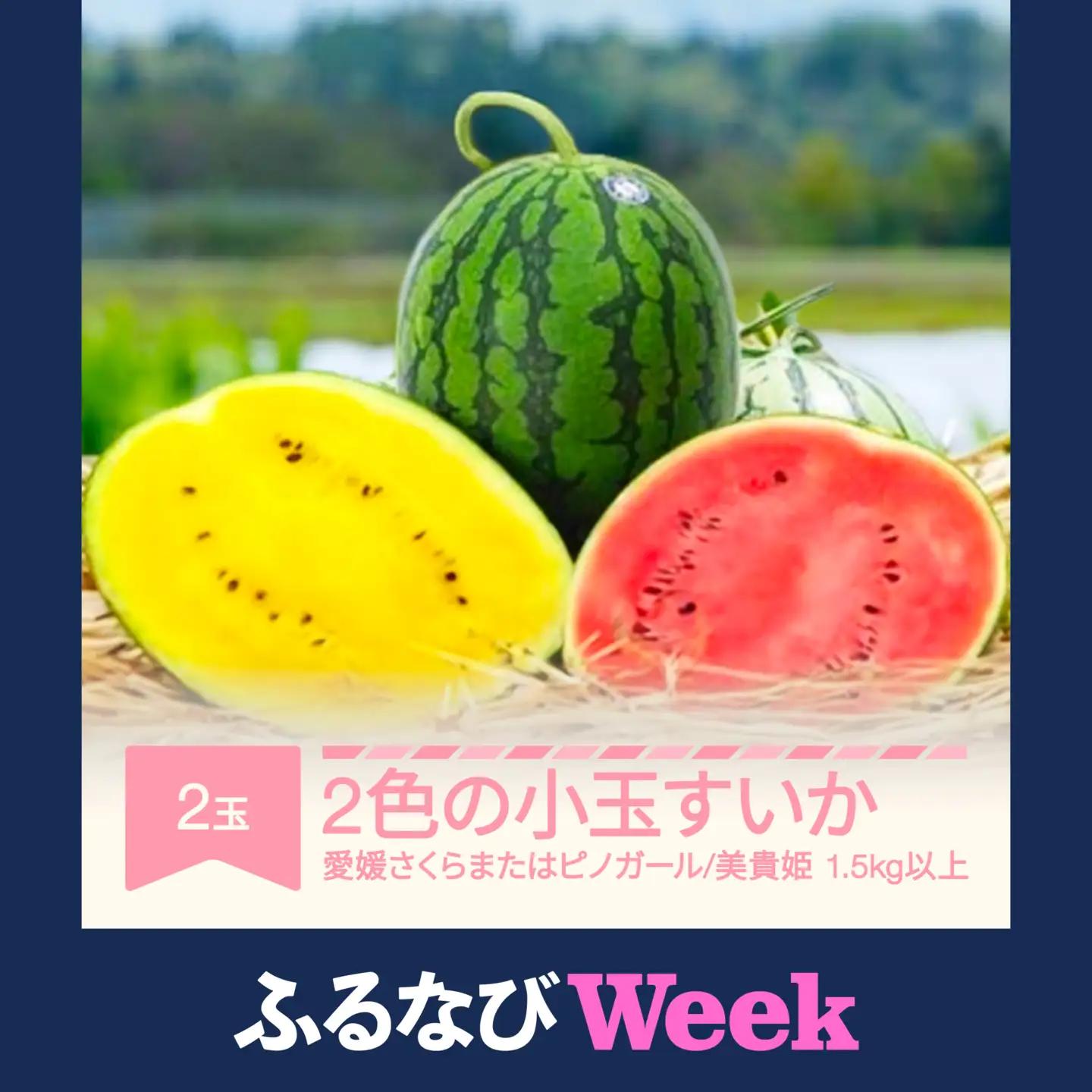 2色の小玉すいか 令和8年産 no-suwck2