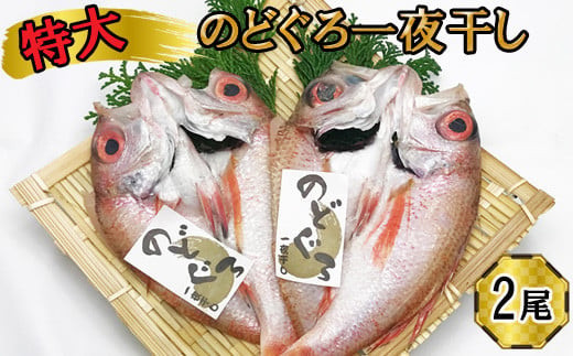 特大 のどぐろ　一夜干し2尾セット 322032_DQ022