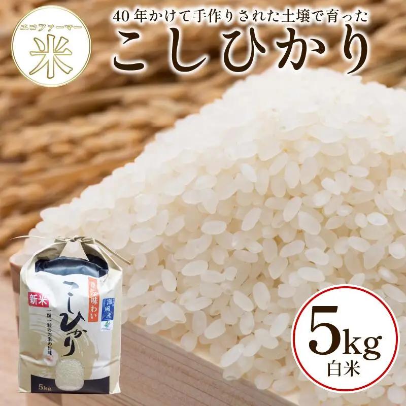新米 こしひかり 5kg 白米 令和8年産 潮風米 こしひかり 徳島 小松島