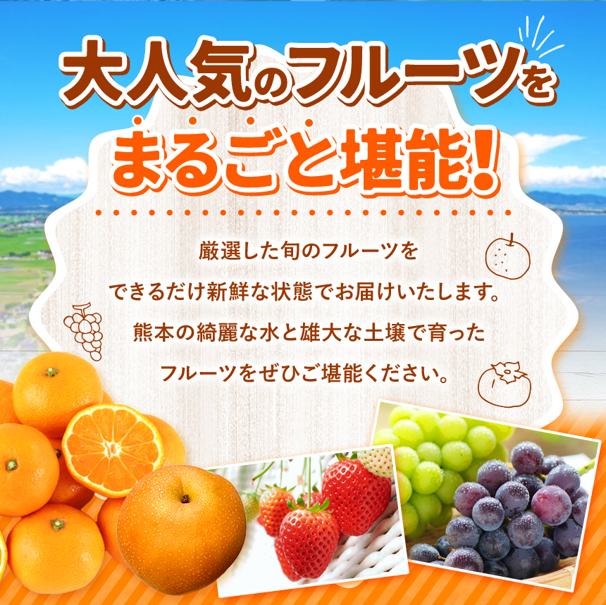 【 定期便 11回 】 贅沢！ まるごと フルーツ