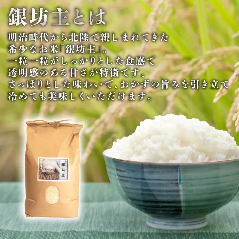 [WH007] 令和7年産 自然栽培米 越田さんちの銀坊主 精米 2kg