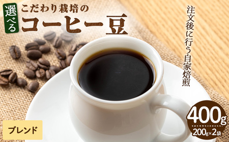 こだわり栽培のコーヒー豆(ブレンド)(計400g・200g×2袋) 焙煎 コーヒー 豆 珈琲 珈琲豆 【m70-05】【N BLOOD COFFEE ROASTERS】