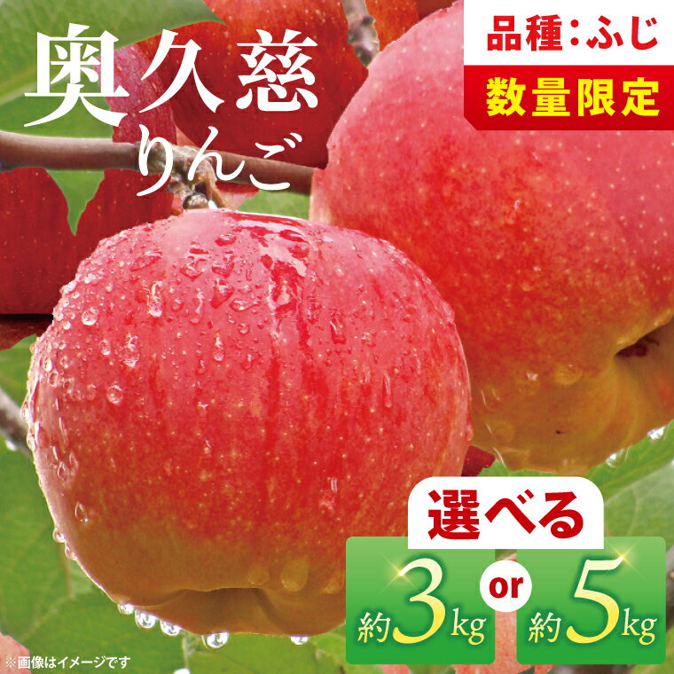 【ふるさと納税】【数量限定】【11月より順次発送予定】【選べる内容量】三村観光りんご園の奥久慈りんご「ふじ」約3kg・5kg｜茨城県 大子町 林檎 旬 果物 フルーツ 果実 果汁 ギフト 贈答 甘い ジューシー みずみずしい（BX009）