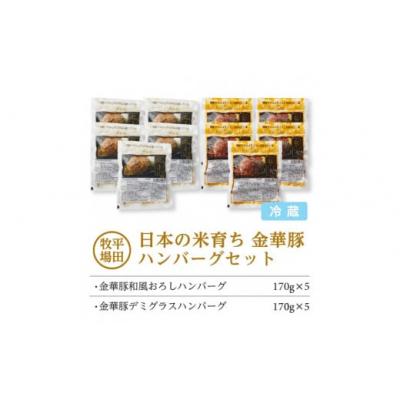 ふるさと納税 酒田市 【平田牧場】日本の米育ち◆金華豚 ハンバーグ2種セット　計10個(和風おろし、デミグラス 各5個) |  | 01