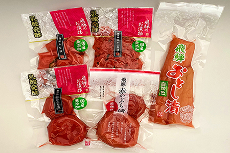 飛騨のお漬物 5種類セット 漬け物 飛騨 詰め合わせ【15-2】