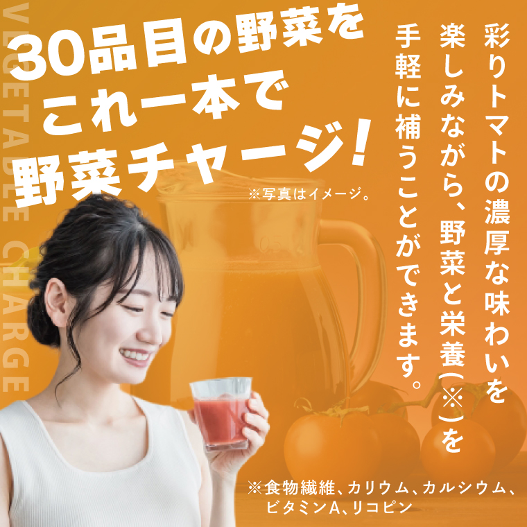 【3回定期便】カゴメ野菜一日これ一杯 720ml×15本｜KAGOME 野菜 果実 おいしい 手軽 ジュース 飲料 野菜ジュース（93-215）