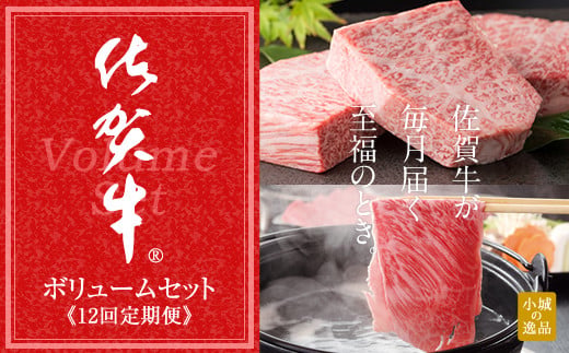 【定期便】佐賀牛 ボリューム 毎月 お届け セット (12ヶ月連続お届け)　定期便 定期便佐賀牛 牛肉定期便 毎月定期便 佐賀牛 ブランド牛 12ヶ月連続 定期便 牛肉 定期便 牛肉定期便 A5 Aランク ブランド牛 定期便肉 肉 毎月 Aランク A5 A5～A4 ランク 肉本舗 小城 高級 ブランド 牛 佐賀県 小城市