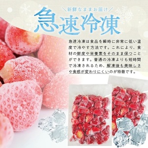 冷凍いちご1.5kg(500g×3袋) 山形県産 冷凍便 ※離島発送不可 冷凍 冷凍フルーツ いちご イチゴ 苺 サマーティアラ フルーツ ジャム ジュース スムージー 小分け お菓子作り ゆざ食彩工