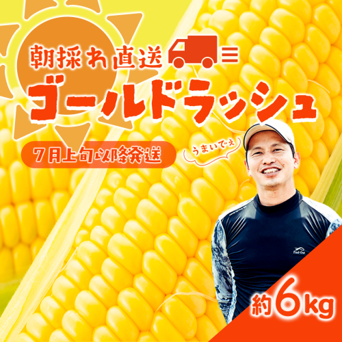【 先行予約 2027年7月上旬以降発送 】【農家直送】 朝採り トウモロコシ ゴールドラッシュ 1箱 約6kg とうもろこし スイートコーン 産地直送 期間限定 甘い [SF018ya]