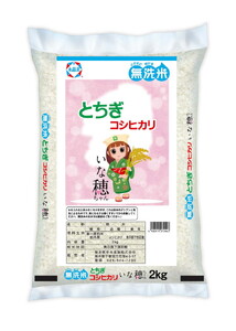【無洗米】栃木県産コシヒカリ いな穂ちゃん 2kg【栃木県共通返礼品・栃木県産】