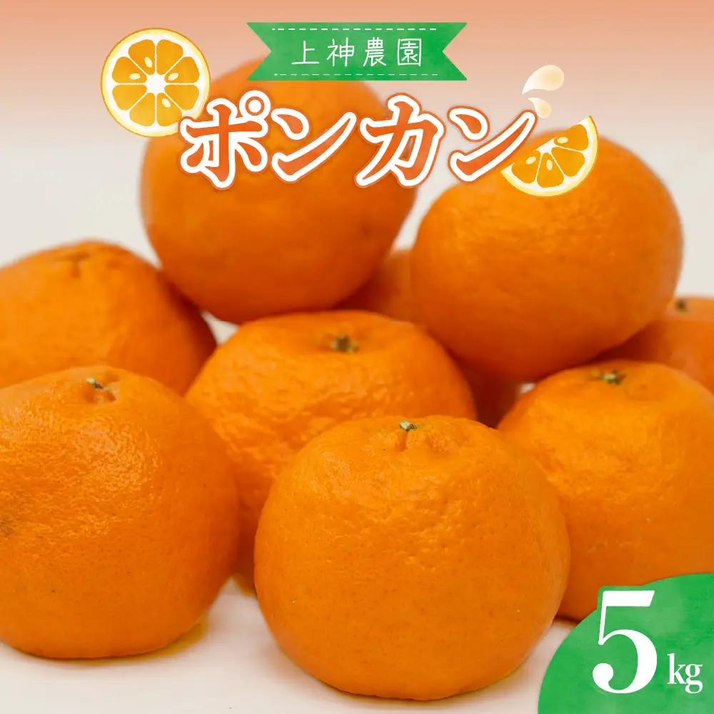 先行受付 2027年1月中旬～発送 ポンカン 約5kg 上神農園
