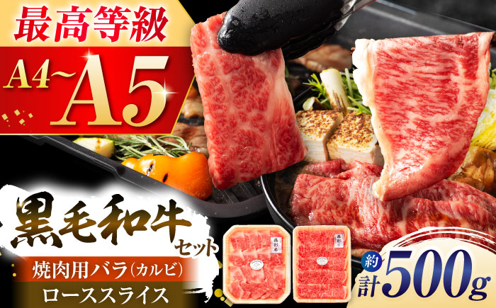 
            【年内発送は12月11日ご入金分まで！】くまもと黒毛和牛「藤彩牛」2種の食べ比べ計500g 3900 / 牛肉 黒毛和牛 バラ ロース スライス 500g A5 A4 ランク 阿蘇 熊本県 菊陽町 焼き肉  バーベキュー BBQ 和牛 人気 部位   冷凍 ブランド ブランド和牛 おすすめ 便利 希少 普段使い 肉料理 ごはん ご飯 肉 にく 【株式会社フジチク】 [BHAD010]
          