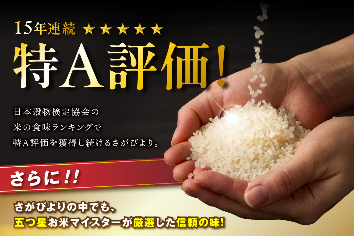 令和7年産 【定期便】《無洗米》さがびより 5kg×12回 999-B910