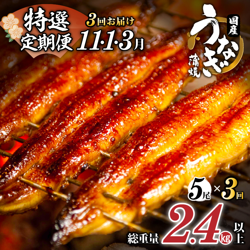 先行予約≪定期便全3回≫12月・2月・4月お届け!!うなぎ蒲焼5尾(総重量2.4kg以上)_T026-0053【鰻 魚 魚介 加工品 国産 人気 ギフト 食品 おかず 惣菜 高級 お土産 贈り物 送料無料 プレゼント】