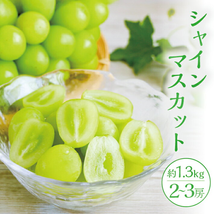 【ふるさと納税】シャインマスカット 2～3房 約1.3kg 10月上旬〜11月中旬頃お届け 山形県遊佐町産 冷蔵便 ※離島発送・着日指定不可 種無し 葡萄 ぶどう 果物 フルーツ 期間限定 農家直送 産地直送 山形県 遊佐町 庄内 秋