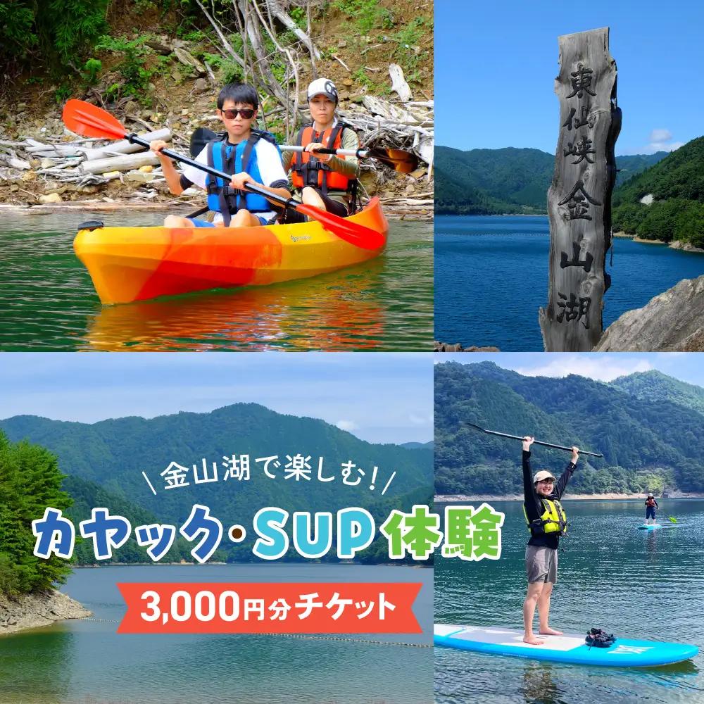 【金山湖カヤック・SUP体験】体験で利用できるチケット（3,000円分）サップ カヤック【a036-1】