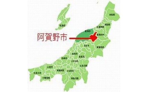 【令和8年産新米】 新潟県産「従来こしひかり」＆「新之助」 白米 食べ比べ 20kg（各5kg×2袋）セット 阿賀野市産 中島農場 精米 新潟県 米 こめ コメ お米 ごはん ご飯 農家直送 色彩選別