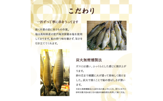 【希少】子持ち鮎の塩焼きと焼鮎醤油のセット　Ess-12 