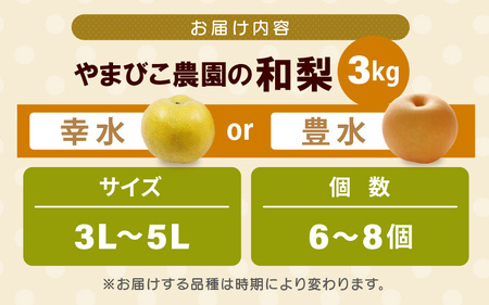 先行予約 幸水梨 3kg (3L～5Lサイズ) 6~8玉入り【2026年8月中旬～9月上旬発送】 梨 和梨 なし [A-21901_01]