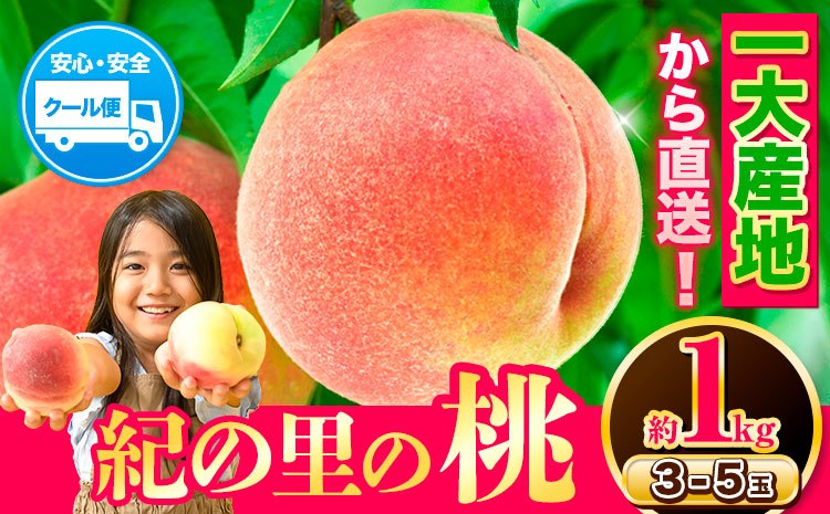 桃 もも【2025年先行予約】和歌山県産 紀の里の桃 約1kg (3-5玉入り)《6月中旬-8月中旬頃出荷》 桃 2025年 先行 桃 先行予約2025 もも2025 白鳳 日川白鳳 八旗白鳳 清水白