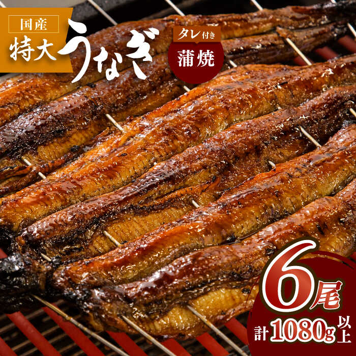【ふるさと納税】ふっくらジューシーのこだわり国産うなぎ蒲焼 6枚セット うなぎ 鰻 特大 タレ 蒲焼き かばやき ひつまぶし お祝い ご褒美 贅沢 吉野ヶ里町/丸安 [FAD013]