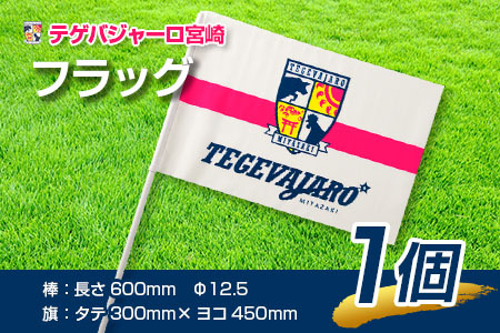 テゲバジャーロ宮崎　応援グッズセット　サッカー Jリーグ 公式 送料無料【B642】