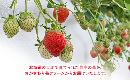 北海道 伊達市 いちご すずあかね Mサイズ 30個入り 苺 イチゴ スイーツ デザート 果物 甘い 赤 鮮やか 新鮮 ケーキ お菓子作り