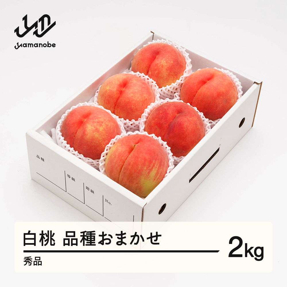 《先行予約》2026年 山形県産 もも 白桃 秀品 品種おまかせ 化粧箱入り 約2kg 令和8年産 ns-mohtx2