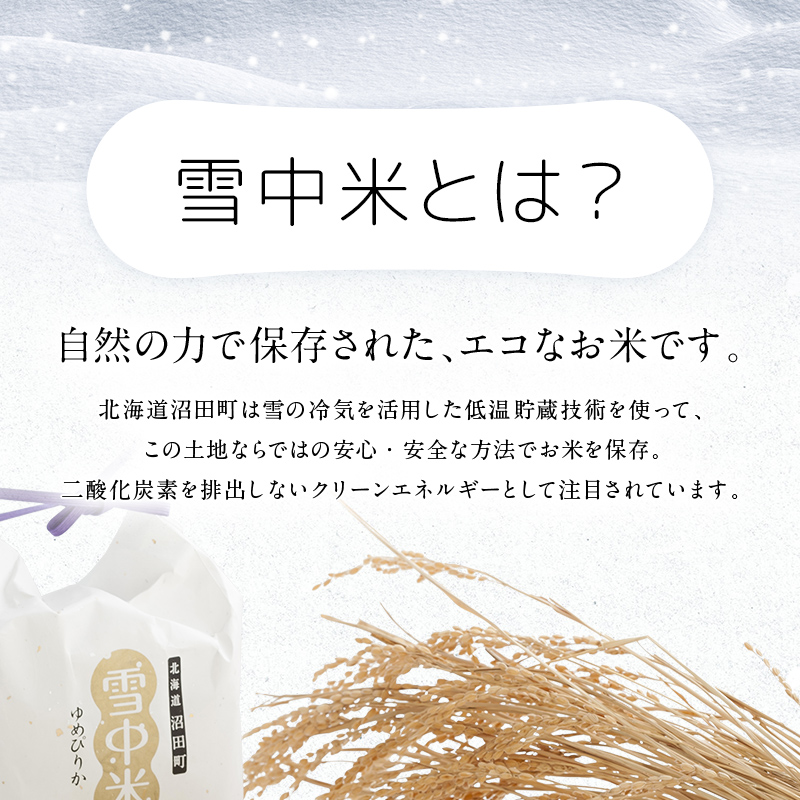 【定期便4ヶ月】ななつぼし 精米 20kg（10kg×2袋） 5月発送開始 雪冷気 籾貯蔵 雪中米 北海道 nr-0857