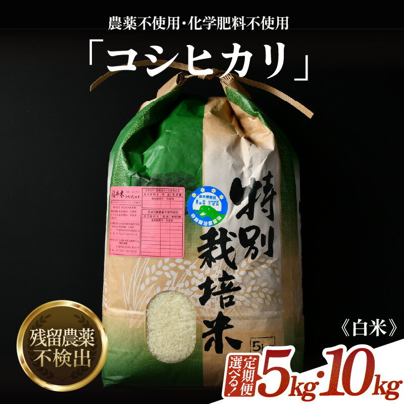 【ふるさと納税】【先行予約】【令和8年産 新米】コシヒカリ 精米 5kg 10kg 定期便 3回 6回 12回 特別栽培米 農薬不使用 化学肥料不使用 ／ 米 お米 5キロ 10キロ 高品質 鮮度抜群 福井県産 ブランド米 白米 ※2026年9月下旬より順次発送予定