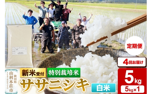 《令和8年産 新米受付》《定期便4ヶ月》【白米】特別栽培米 ササニシキ 5kg 秋田県産 [ササニシキ 新米予約 先行予約 米 お米 こめ 白米 精米 ブランド米 食卓 おにぎり 秋田県産 秋田]