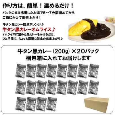 ふるさと納税 泉南市 ●牛タン黒カレー(200g×20パック) |  | 03