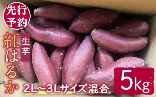 【訳あり】サツマイモ（紅はるか） 5kg 2L～3Lサイズ混合 訳あり わけあり さつまいも サツマイモ べにはるか 紅はるか 生芋 なまいも 常温 【桑原農園】【ho1580】