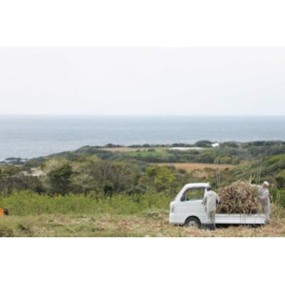 ふるさと納税 中種子町 種扇糖　300g×10個 |  | 02