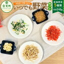 【ふるさと納税】北海道十勝産100％！いつでも野菜セット（乾燥野菜） 5種類 合計240g にんにく 長ねぎ 大豆 にんじん 大根 長ネギ 葱 ねぎ ネギ だいず 豆 まめ ダイコン だいこん 人参 ニンジン やさい 野菜 セット 詰め合わせ 十勝 常温 北海道 音更町 送料無料