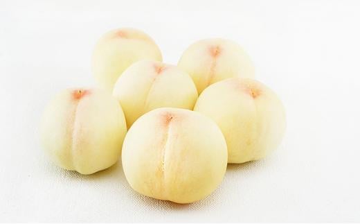 桃 ぶどう 定期便 （隔月） 2026年 晴れの国 岡山の フルーツ 定期便 3回 コース 白桃 もも 葡萄 シャイン マスカット 葡萄 岡山産 国産 フルーツ 果物 ギフト