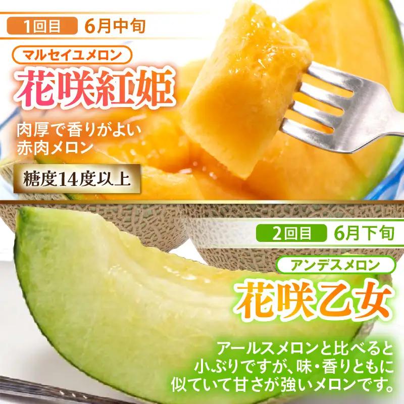 【先行予約】《全7回》あわら大満足 7種 フルーツ定期便 《あわらの旬が満載！》／ 果物 旬 食べ比べ 贈り物 定期便 マルセイユ アンデス アールス 大玉スイカ 梨 柿 ※2027年6月中旬以降順次