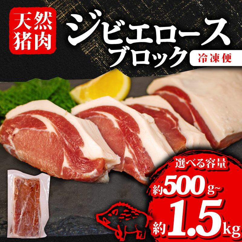 【ふるさと納税】 選べる 容量 ジビエ ロース ブロック 約500g~約1.5kg 冷凍 小分け 猪肉 天然 ロース肉 イノシシ肉 いのしし肉 ステーキ 焼肉 BBQ バーベキュー カレー シチュー アウトドア キャンプ ヘルシー ジビエ料理 肉料理 家庭料理 肉 伊勢 志摩 三重県