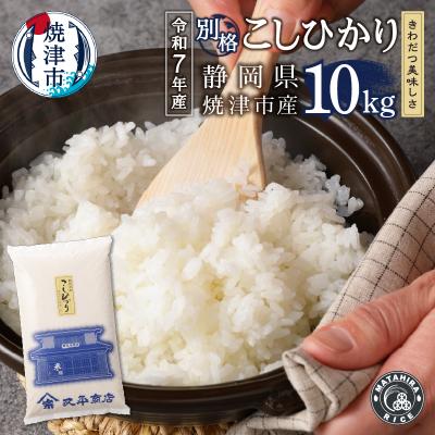 ふるさと納税 焼津市 令和7年産 別格 白米 10kg コシヒカリ(a22-073)