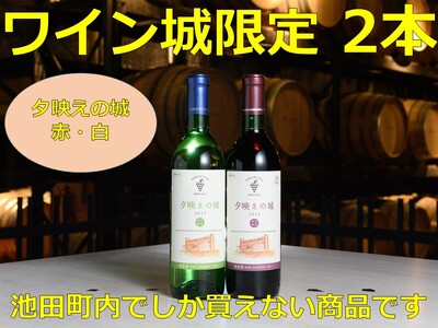 十勝ワイン いけだワイン城限定 2本セット（赤・白）国産ワイン 北海道ワイン 赤ワイン 白ワイン セット 夕映えの城 北海道池田町