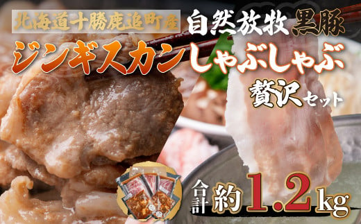 鹿追産 自然放牧黒豚しゃぶしゃぶ＆豚ジンギスカンの贅沢セット 【 ふるさと納税 人気 おすすめ ランキング 黒豚 豚 黒豚肉 豚肉 ポーク しゃぶしゃぶ ジンギスカン 豚しゃぶ 北海道 鹿追町 送料無料 】 SKN006