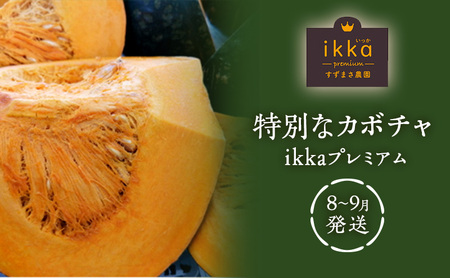 特別なカボチャ ikkaプレミアム【8月-9月発送】 野菜 南瓜 甘い ホクホク 
