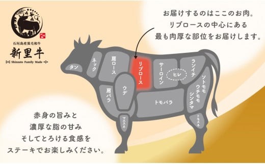 ＜期間限定 春フェア＞ 石垣島産 黒毛和牛 新里牛 リブロースステーキ（200g×2）合計400g SZ-29