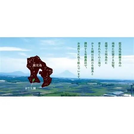 おりたの知覧茶3本セット【1185762】