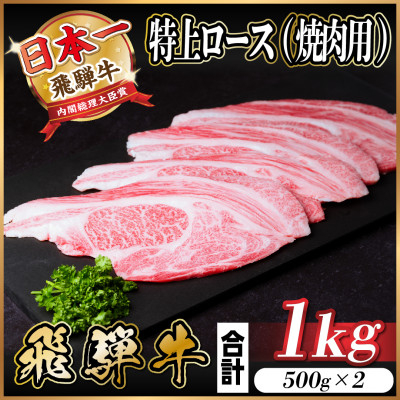 
飛騨牛 特上ロース 焼肉 1kg(500g×2)【1543793】
