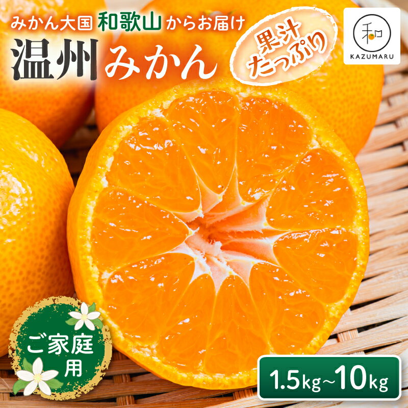 【ふるさと納税】【家庭用】 森本農園の手選別 みかん 約1.5～10kg 和歌山県産 2S~2Lサイズ混合 【北海道・沖縄・離島配送不可】【2025年11月上旬～2026年2月中旬ごろに順次発送】【RN6】 | みかん 蜜柑 フルーツ 果物 くだもの 食品 人気 おすすめ 送料無料