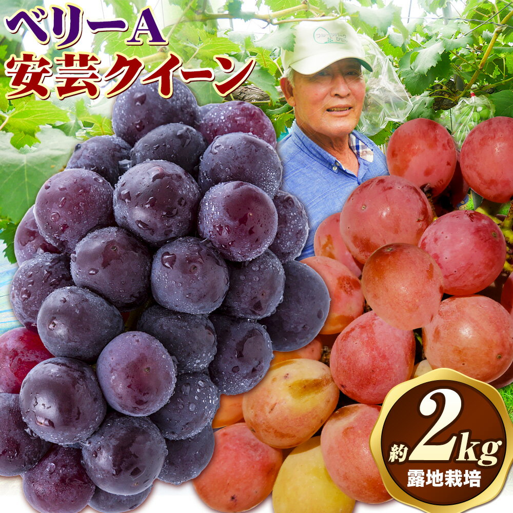 【ふるさと納税】ぶどう【2025年発送】岡山県備前市産 樹上完熟「ベリーA」「安芸クイーン」2種セット（露地栽培） 約2kg 《9月初旬-9月中旬頃出荷》株式会社フルーツパーク備前 岡山県 備前市 葡萄 食べ比べ ベリーA 安芸クイーン フルーツ 果物