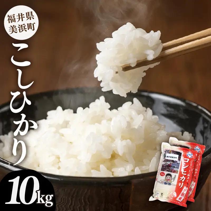 【先行予約】【令和8年産・新米】米 コシヒカリ 計10kg （5kg × 2袋）精米 福井県美浜町産 【2026年10月下旬以降発送】 [m60-b006_10]